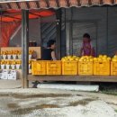 동팔이네 이미지