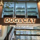 강이네펫샵 | 김포강아지분양, 냄새 없고 추가금 없는 독캣 강아지분양 서울 신림점 상담 후기