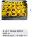 케이원백 | [신비복숭아] 판매종료 > [케이원백도]수확시작