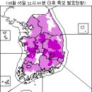 폭염경보(2010.08.05) 이미지