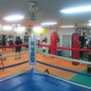 한국체대라학균복싱클럽 이미지