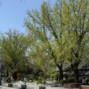 퍼플스테이 | 전주한옥마을숙소 : 전주한옥마을근처 뚜벅이2인숙소스테이코지 내돈내산후기