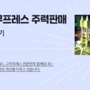 (주)진영기업 네이버블로그