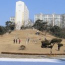 광주이씨 시조비 묘역 이미지