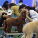 동원농장 이미지