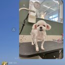 까꾸까 이미지