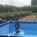 선이네농장 이미지