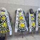 🙏무제 이미지