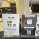 한라무인카페 | 제주전시체험 한라디지털아트뮤지엄 빛과 영상 즐기고 온 솔직후기