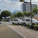 아파트 외부는 주차 질서를 정리해줄수없다는 관리사무소 직원의 말이 진짜입니까? 이미지