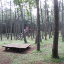 생이소리 이미지