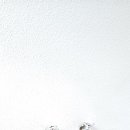 구리시 탄성코트 베란다 단열페인트 시공, 곰팡이 방지는 코팅 좋습니다