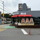 삼양초 | 제주 삼양 / 삼양이동 삼양초 김밥 ‘ 배또롱 ’