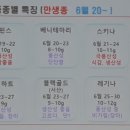 뜨락 이미지