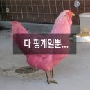 일등부동산중개 네이버블로그