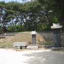 푸른다산주