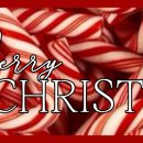 이제 이런거 보면 걍 존나 디스토피아사이버펑크같아서 재밋음 이미지