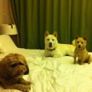 무지개민박 이미지