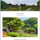 네츄럴가든529 이미지
