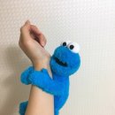 대지꽃집 이미지