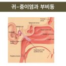 이명, 난청도 코를 치료해야 합니다 [이우정한의사] 이미지