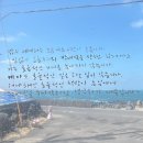 밤수지맨드라미 | [제주도 우도책방] 밤수지맨드라미 / 어쩌면 우리나라에서 가장 먼- 책방📚