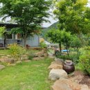 다솔민박 이미지