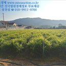 모월보건진료소 이미지