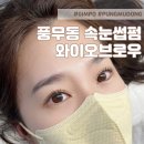 와이오 브로우 이미지