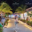 [태국] 코사무이 허니문 2일차 - 오조차웽리조트 수영, 요트크루즈, 디바스카바레, 아크바 불쇼