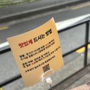 [맛집일기 - 성신여대] 곱창 맛집 &#39;대파곱창&#39; 솔직후기