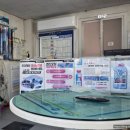 애니카랜드 오정점 이미지