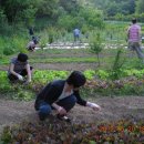 부흥목장 이미지