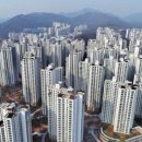 안양-안양-안양-516 이미지