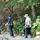 한강오리쌈나루 이미지