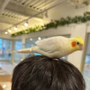 대전 다녀왔다