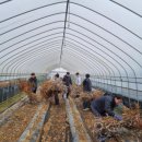 청양군농업기술센터 이미지