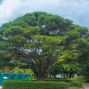 연지공원 이미지