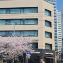 봉천로 | 봉천로 조용한 감성 카페 주제, 벚꽃뷰는 덤