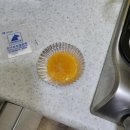 한마음종합동물병원 이미지