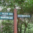 당숲길 Daum카페