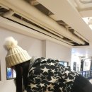 볼링장 Daum카페