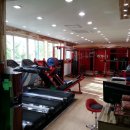 단하나피티 이미지