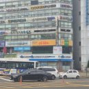 원광대학교 산본병원 | 산본역 쌀국수 맛집 추천 꼬렌 산본점 가족 점심 예약 후기
