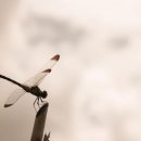 제주수흉부외과의원 이미지