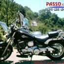 데이스타 이미지