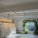 수명로 | 강서구 드레스 메이크업) 베일드블랑 내돈내산 계약후기 (피팅사진ㅇ)