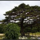 설악온천장 별관 이미지