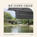 수림유치원 | 경주 산내계곡 평상 대여 가능한 수림산장