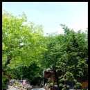 청학동(도인촌) 이미지